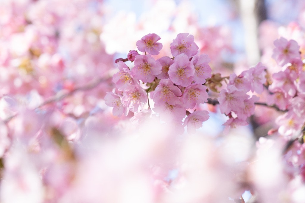 @ac2eDNZcErO7HMS48VKRcLr8QKw2