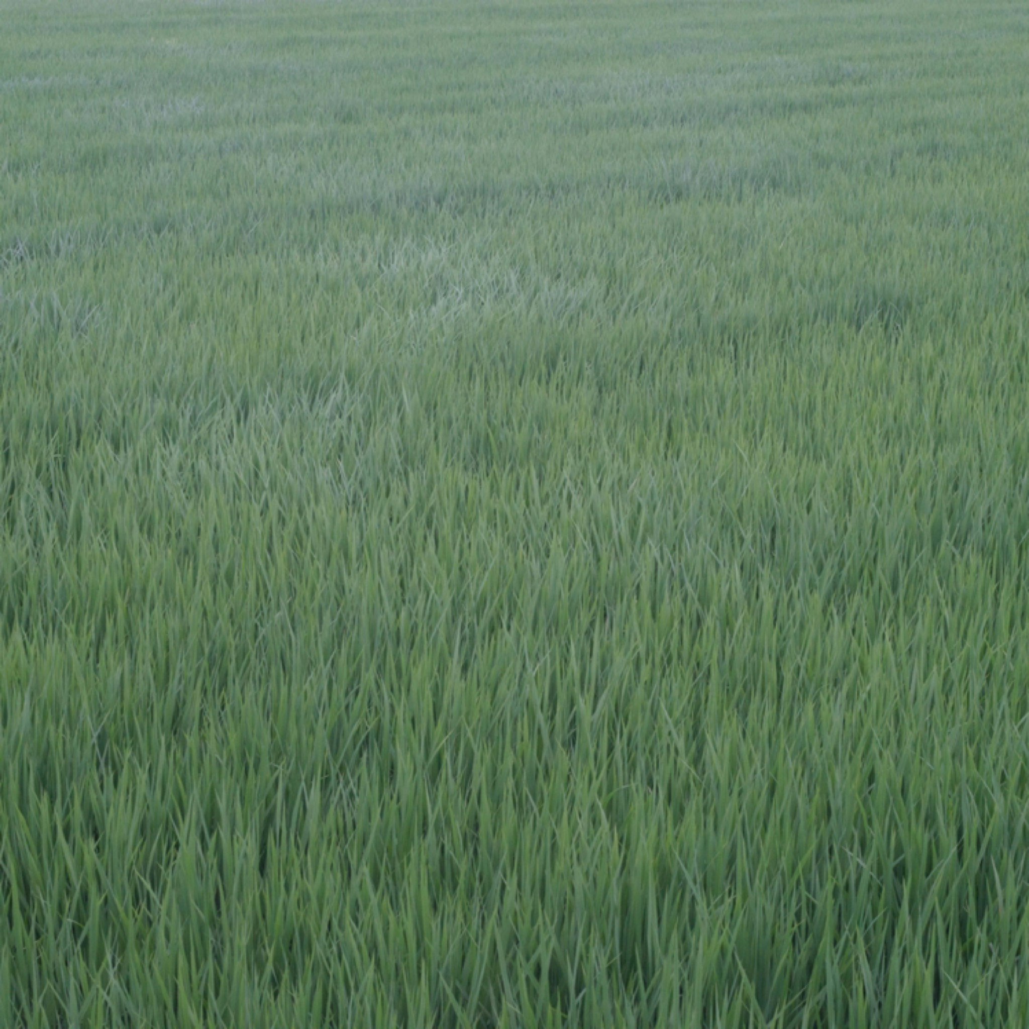 @bDjf8WbEDnRpSjHx9BIVpW60RLt2