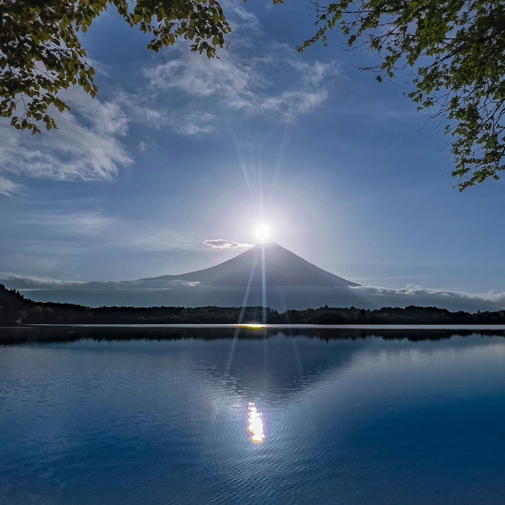 @sei_landscape
