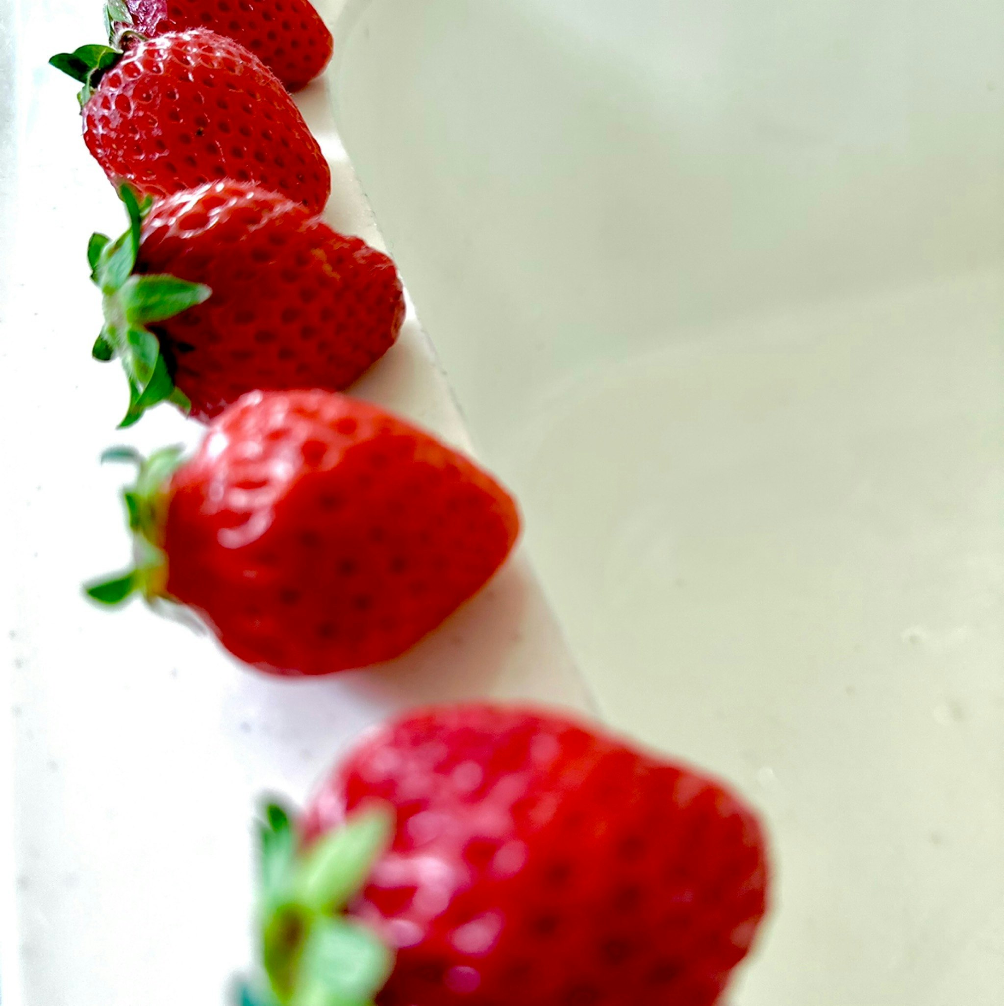 @miDNyQCT1jP5RAdwtHUnlOuYM6h2