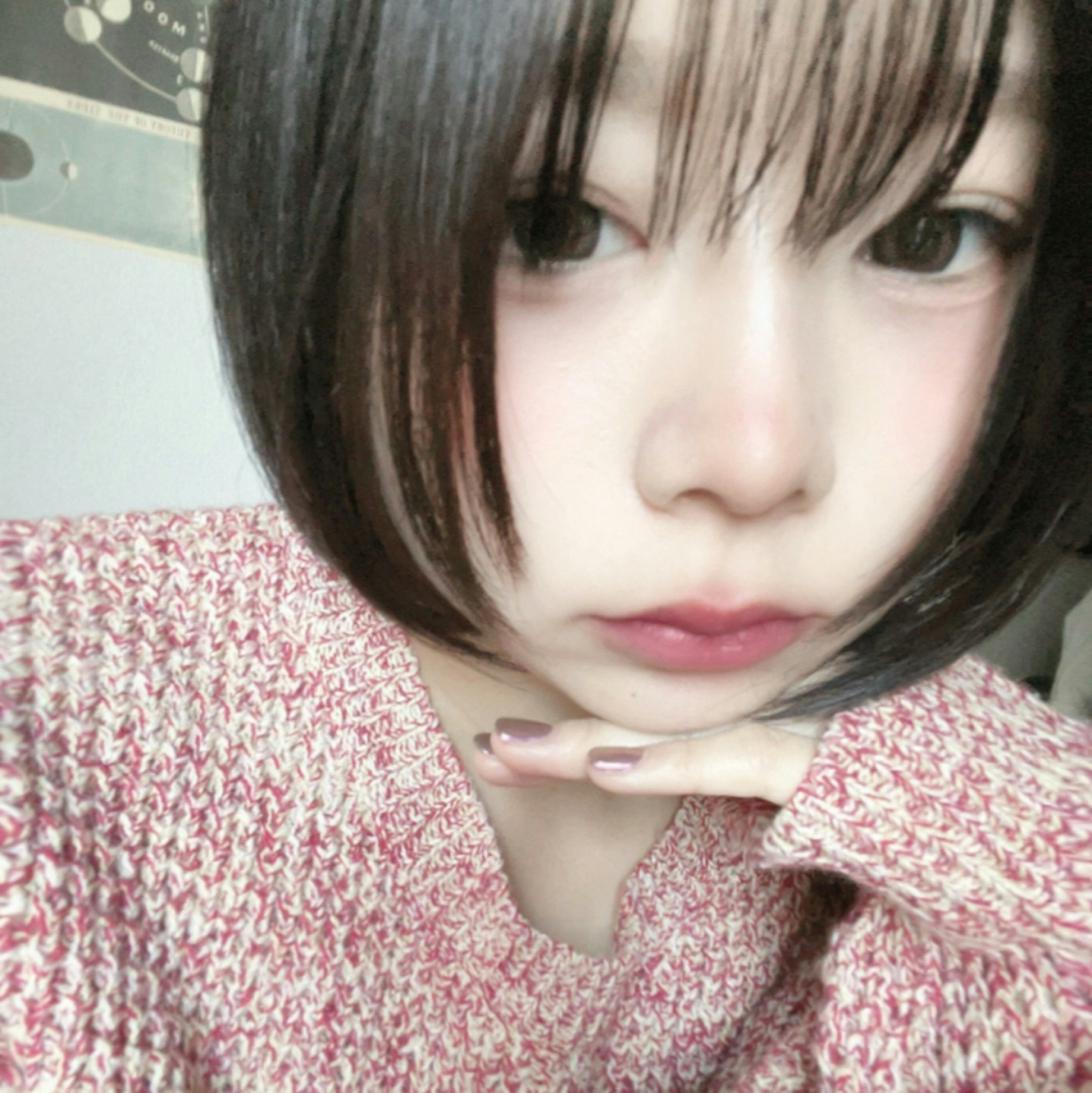 @llunashiko9