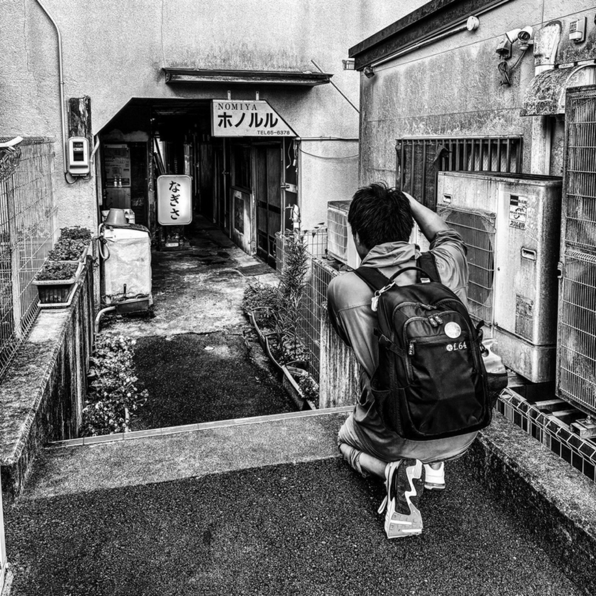 @IKASHIMA