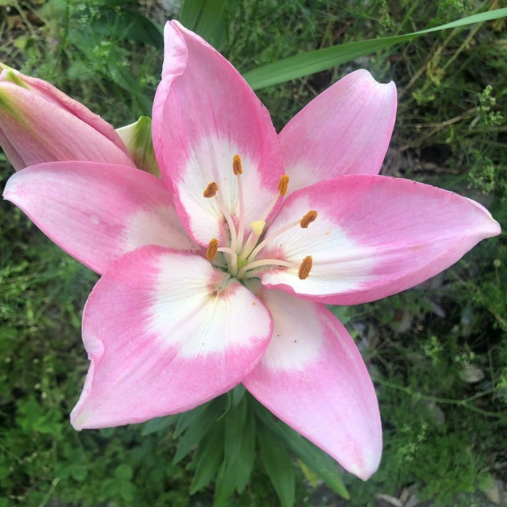 @tR8mJHRBGWPRfFCc0zRCwsAY97h2