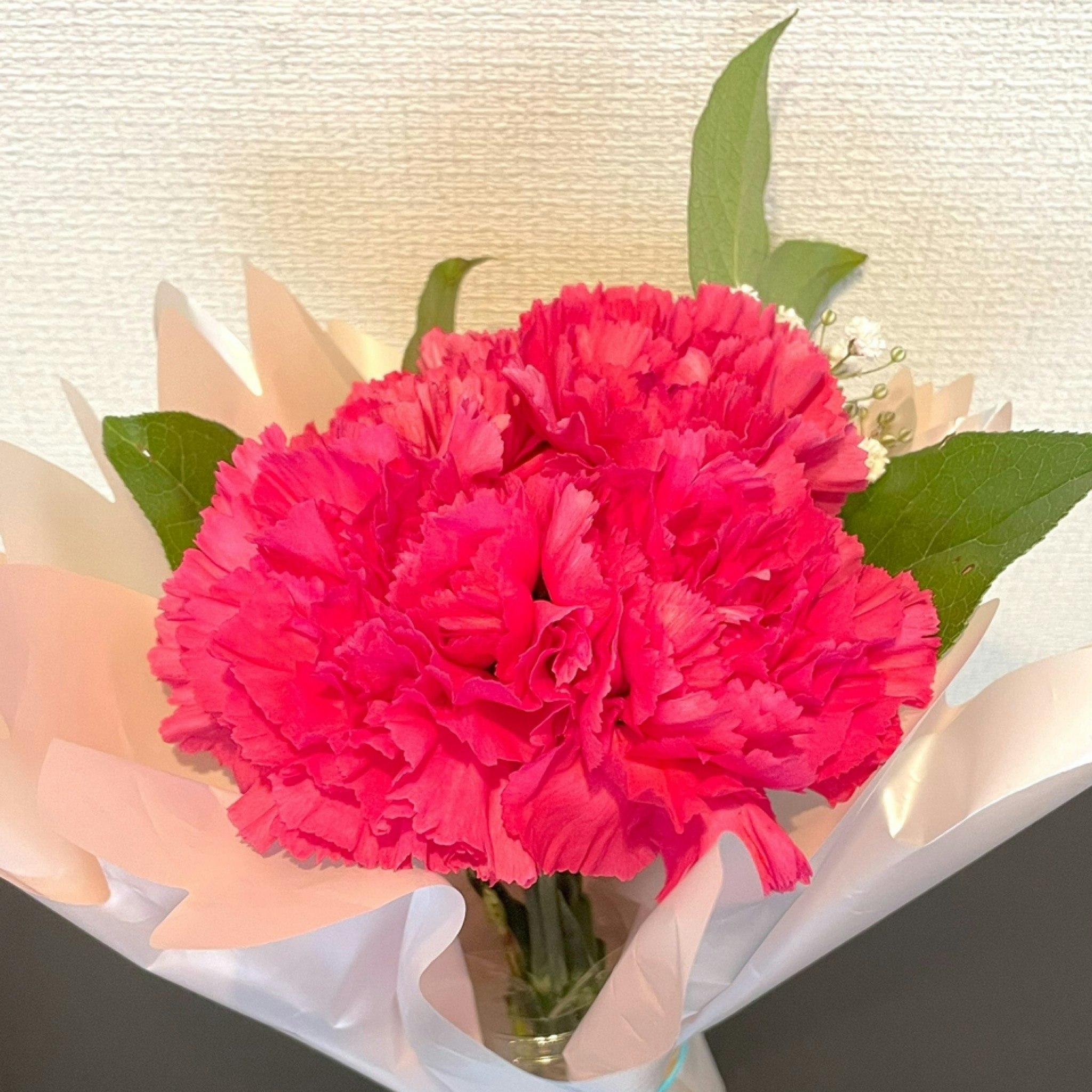 @taziMnGFuKglrVdP3RQNIOqTylV2