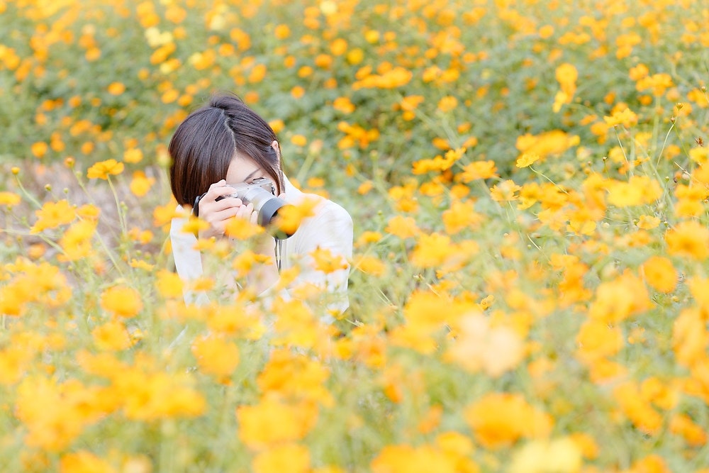 @ぽんこつらぁめん