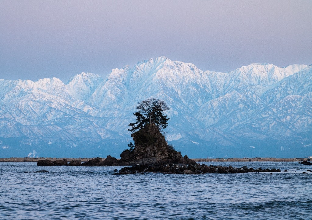 谷島匠海