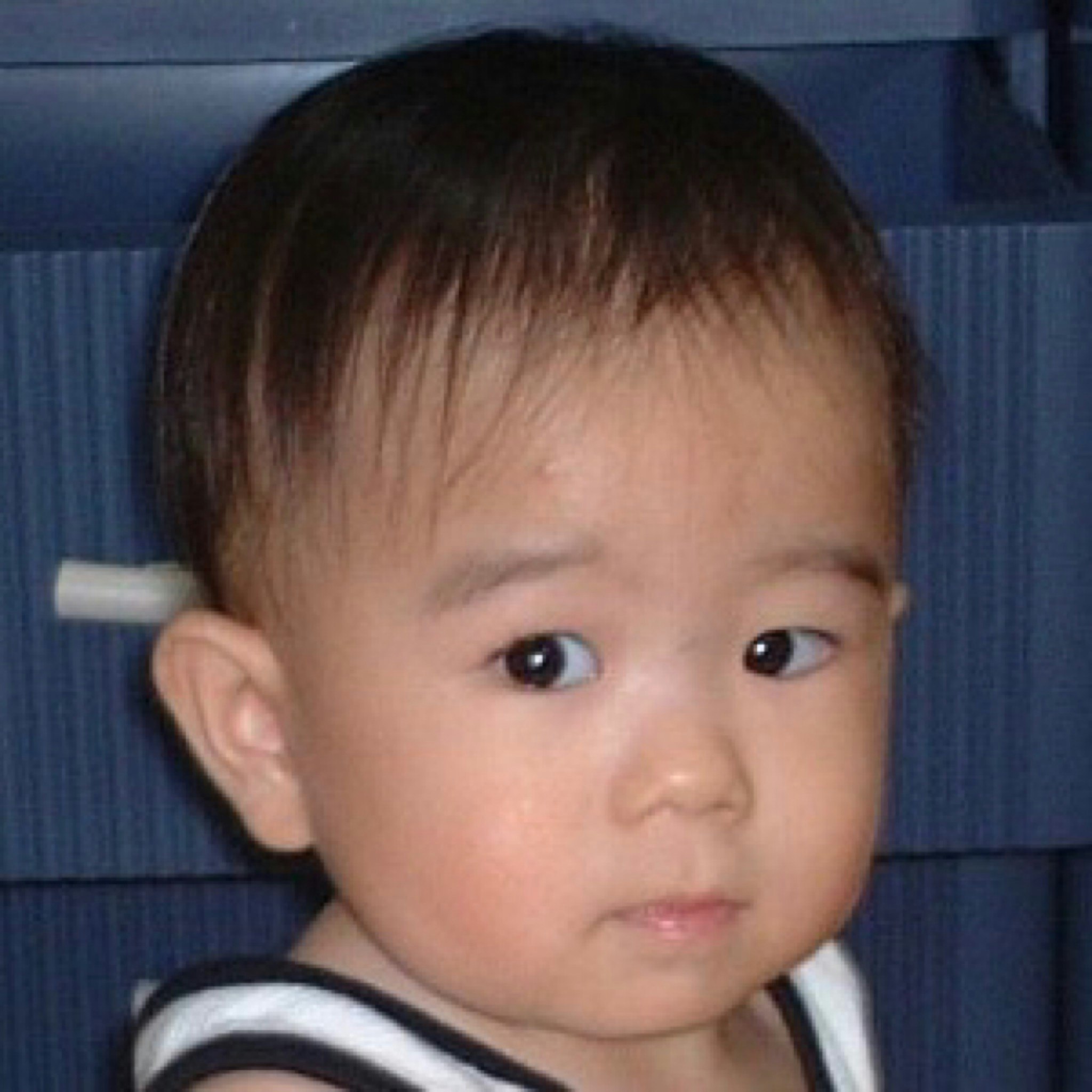 @坂本優也